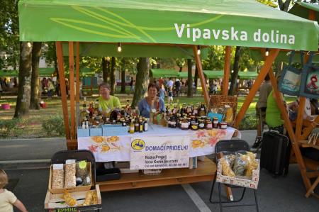 vipavska ned-372